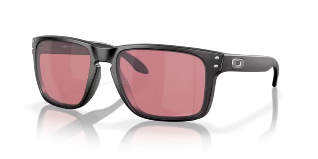 Oakley Holbrook …