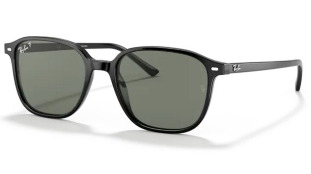 Ray-Ban LEONARD 0RB2193 901/58 53