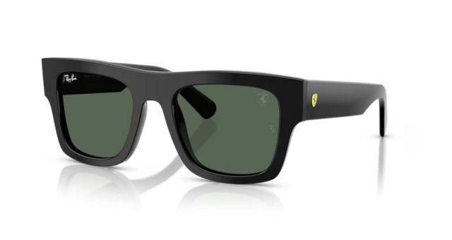 Ray-Ban 0RB2217M F60171 53