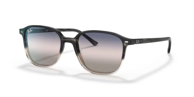 Ray-Ban Leonard 0RB2193 1326GE 51