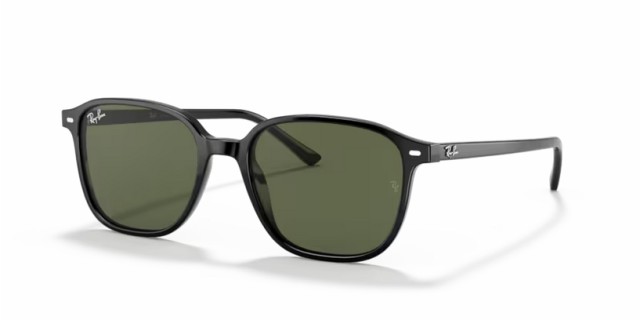 Ray-Ban Leonard 0RB2193 901/31 55