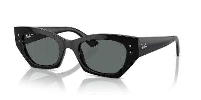 Ray-Ban RB 4430 667781 49