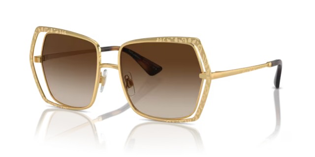 Dolce & Gabbana 0DG2306 02/13 55